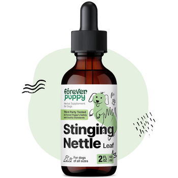 Stinging Nettle Leaf Drops for Dogs - 2 fl.oz. Bottle