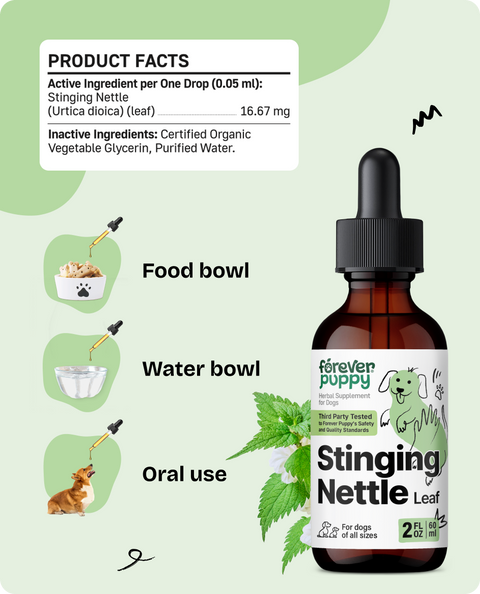 Stinging Nettle Leaf Drops for Dogs - 2 fl.oz. Bottle