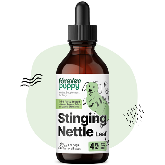 Stinging Nettle Leaf Drops - 4 fl.oz. Bottle