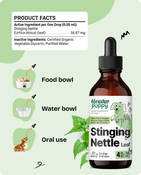Stinging Nettle Leaf Drops for Dogs - 4 fl.oz. Bottle