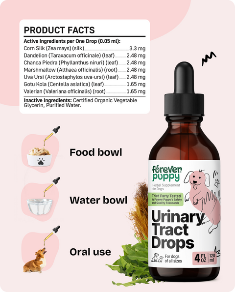 Urinary Tract Drops for Dogs - 4 fl.oz. Bottle