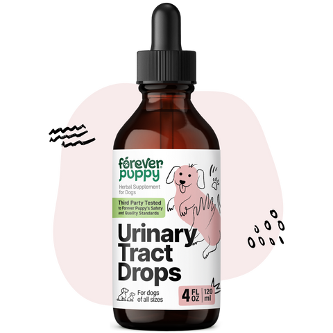 Urinary Tract Drops for Dogs - 4 fl.oz. Bottle
